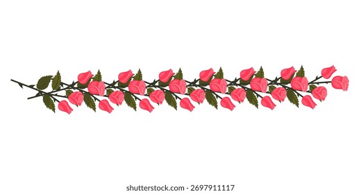 A border of bright pink, cute, graceful roses and buds for your design. Vector illustration isolated on a white background.