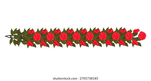 Uma borda de rosas e botões vermelhos brilhantes e exuberantes para o seu design. Ilustração vetorial isolada em um fundo branco.