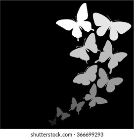  border of butterflies flying with space for text message. background for design for greeting card and invitation of the wedding, birthday, Valentine's Day, mother's day and other seasonal holiday