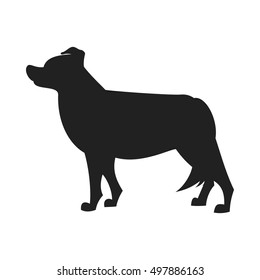 Border collie black silhouette. Obedience dog design, vector flat illustration