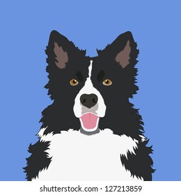 Border collie, The buddy dog