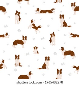 Border collie clipart. Different poses, coat colors set.  Vector illustration