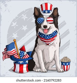 Border Collie dog in 4th of July disguise wearing Uncle Sam hat, with USA flag and fireworks 