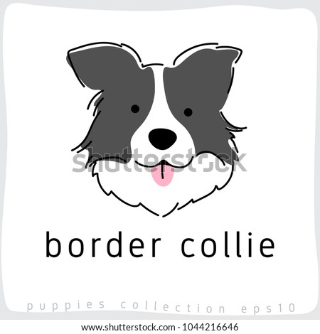 Border Collie : Dog Breed Collection : Vector Illustration