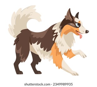 Border Collie Dog Breed with Thick Coat Vector Illustration