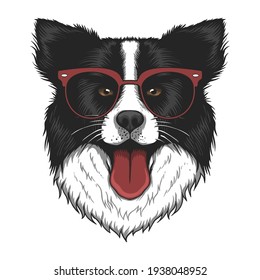 Border collie dog eyeglasses vector illustration for your company or brand