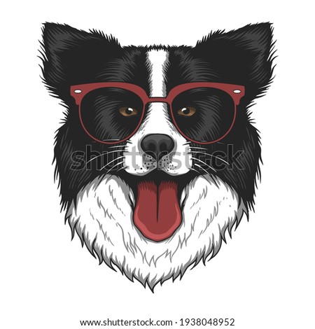 Border collie dog eyeglasses vector illustration for your company or brand