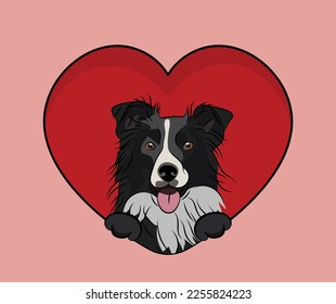Border collie dog hanging with paws in a big Valentine's day heart. Love red heart with pet head and heart and footprint. Dog face Holding Pink Heart Cartoon Icon. St Valentine's day for dog funs.