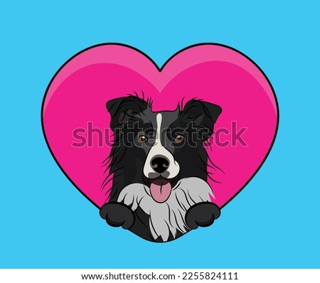 Border collie dog hanging with paws in a big Valentine's day heart. Love heart with pet head and pink heart and footprint. Dog face Holding Pink Heart Cartoon Icon. St Valentine's day for dog funs.