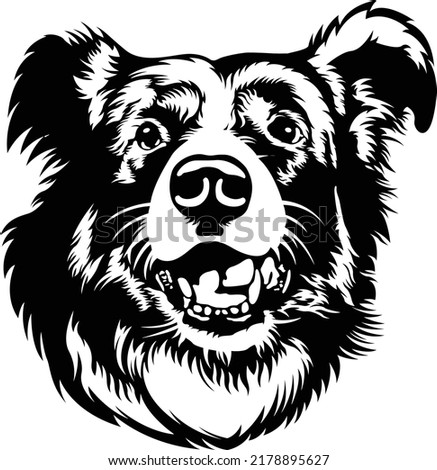 Border collie dog head art EPS vector art