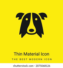 Border Collie Dog Head minimal bright yellow material icon