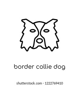 Border Collie dog icon. Trendy modern flat linear vector Border Collie dog icon on white background from thin line dogs collection, editable outline stroke vector illustration