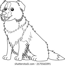 Border Collie Dog Isolated Coloring Page For Kids