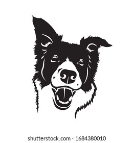 Border Collie dog - isolated vector illustration