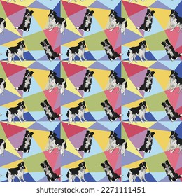 Border collie dog on a mosaic geometric background. Funky, colorful vibe, rainbow colors palette. Simple, clean, modern texture. Geometric, polygon style. Summer seamless pattern with dogs.Triangles.