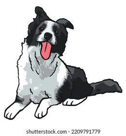 Border Collie Dog Pet Colored Drawing