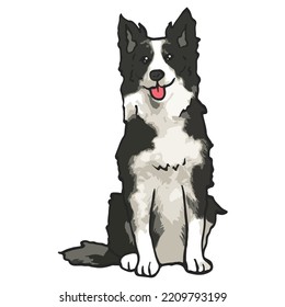 Border Collie Dog Pet Colored Drawing