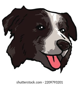 Border Collie Dog Pet Colored Drawing