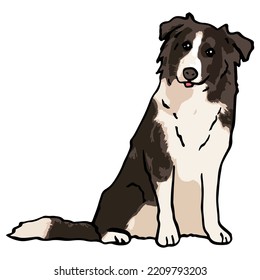 Border Collie Dog Pet Colored Drawing