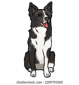 Border Collie Dog Pet Colored Drawing