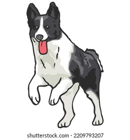 Border Collie Dog Pet Colored Drawing