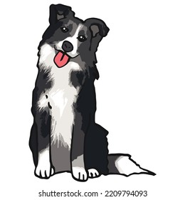Border Collie Dog Pet Colored Drawing