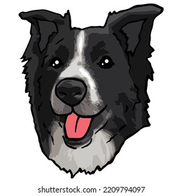 Border Collie Dog Pet Colored Drawing