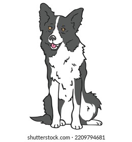 Border Collie Dog Pet Colored Drawing