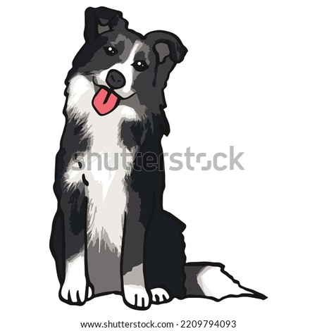 Border Collie Dog Pet Colored Drawing