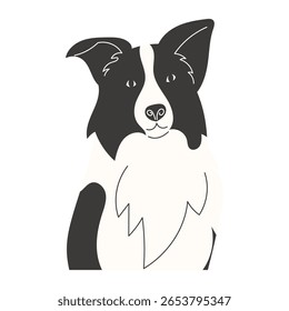 Border Collie Dog Portrait Half Body Flat Style Pet Illustration
