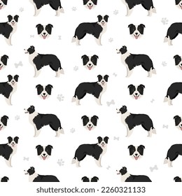 Border collie dog seamless pattern. Vector illustration