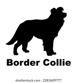 raza de perro silhouette de perro collie borde