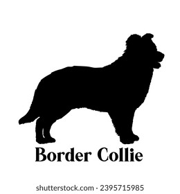 Border Collie Dog silhouette dog breeds dog monogram logo dog face vector