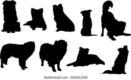 Bundle de silueta de perro collie de borde SVG