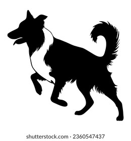 Border Collie dog silhouette icon symbol. Vector illustration