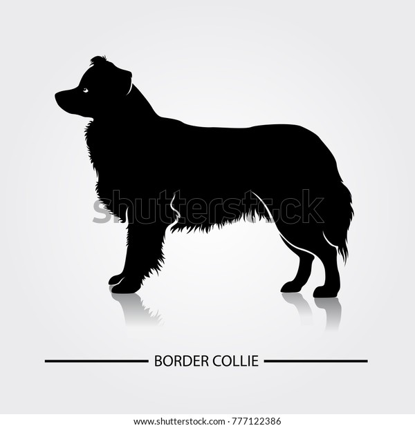 Download Border Collie Dog Silhouette Vector Illustration Stock ...
