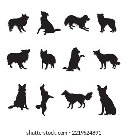 Silhouettes de perro collie de borde, colección de siluetas de color de borde