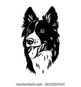Border Collie Dog Vector isolated on white background, Dog Silhouettes.