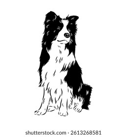 Border Collie Dog Vector isolated on white background, Dog Silhouettes.