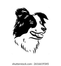 Border Collie Dog Vector isolated on white background, Dog Silhouettes.