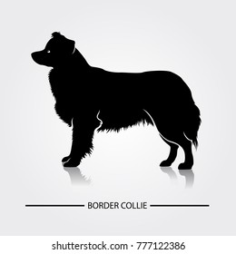 Border Collie Silhouette Images, Stock Photos & Vectors ...