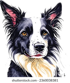 Border Collie Dog Watercolor Vector