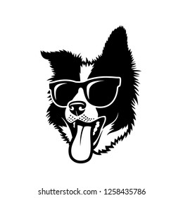 Border Collie dog wearing sunglasses - isolated vector illustration - Vector