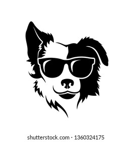 Border Collie dog wearing sunglasses - isolated vector illustration