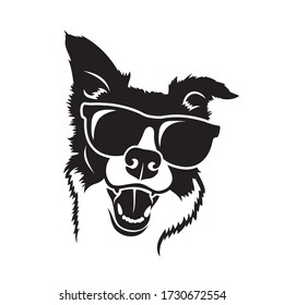 Border Collie dog wearing sunglasses - isolated vector illustration