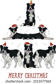 Border Collie dogs wearing winter hats. Cute funny dogs. Character design. Abstract Christmas tree. Vector illustration. Merry Christmas greeting card with the cute funny dog holiday poster.