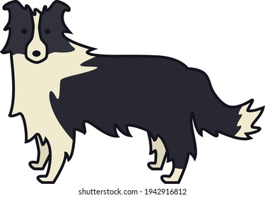 Border Collie Farm animals Line vector illustration Dog collection Isolated object set