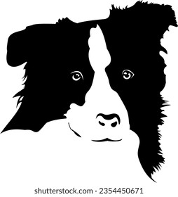 Border Collie Head Schwarz-Weiß-Vektorgrafik