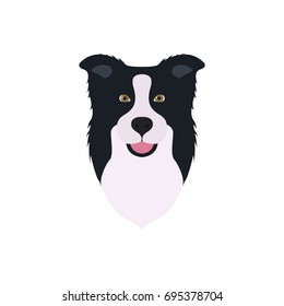 Border Collie head illustrator. Dog face simple design.