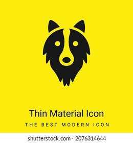 Border Collie Head minimal bright yellow material icon